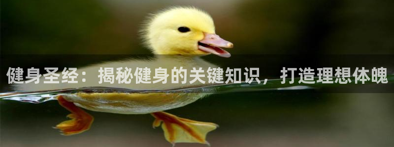 QY球友会体育