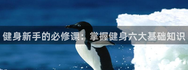qy球友会手机版