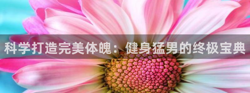 qy球友会官网app下载