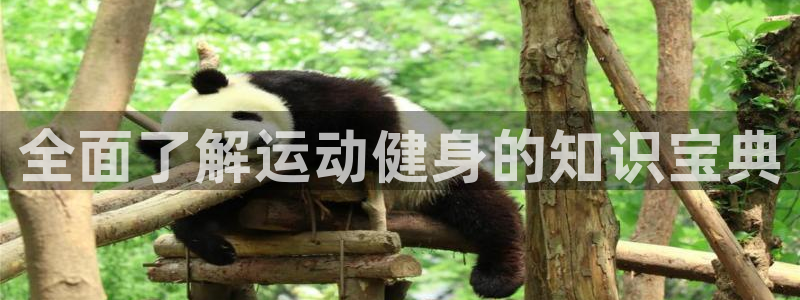 qy千亿体育球友