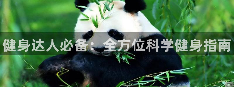 qy球友会官网app下载