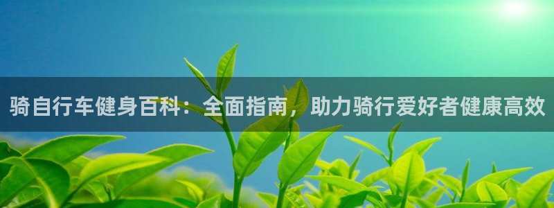 QY球友会体育官方平台