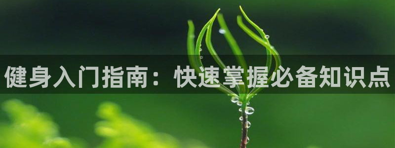QY球友会体育官网