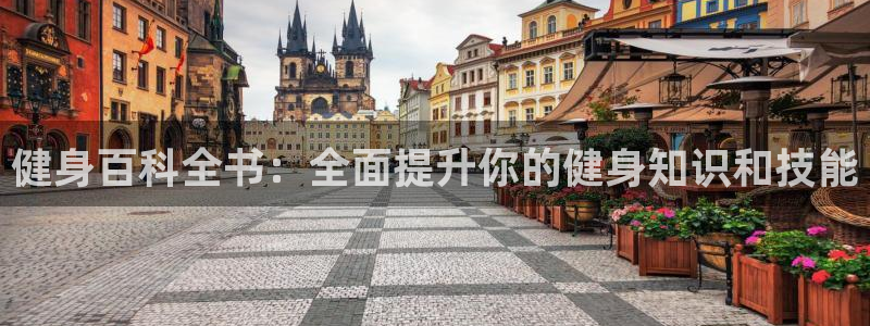 QY球友会体育官网