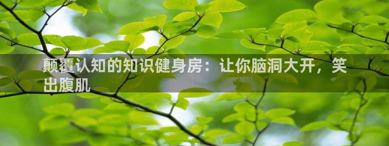 qy千亿体育登录入口
