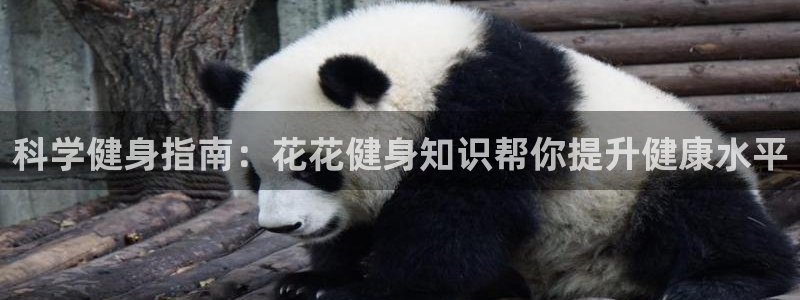 球友会官网下载