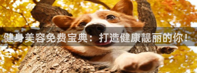 千亿球友会网站