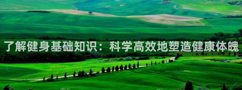 qy千亿球友会app