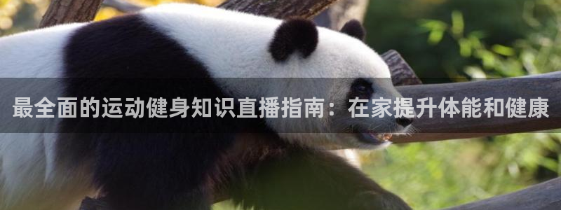QY球友会体育官网