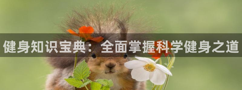 QY球友会2