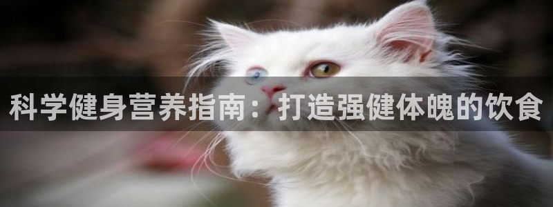 球友会官网下载