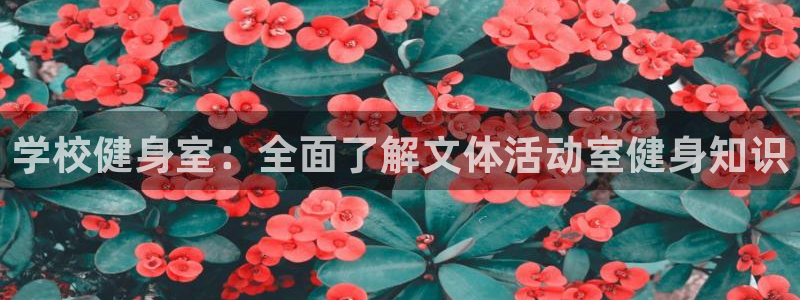 qy球友会手机版