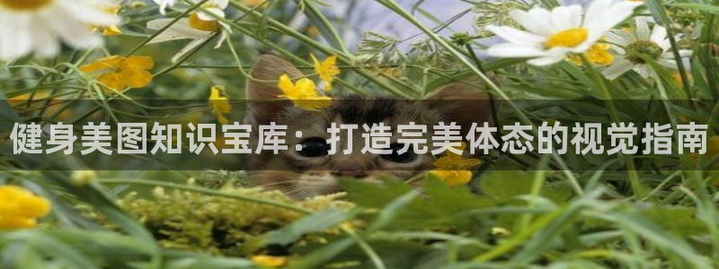 qy千亿球友会app