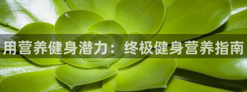 球友会