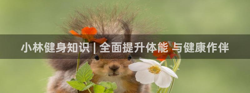 千亿球友会网站