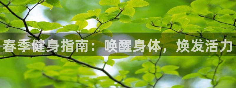 qy球友会手机版