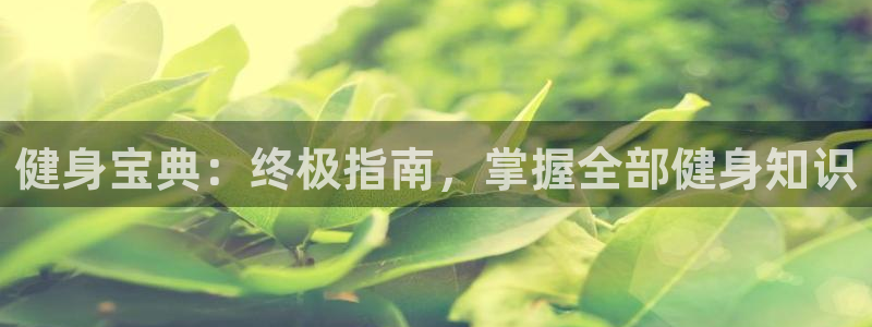 球友会官网下载